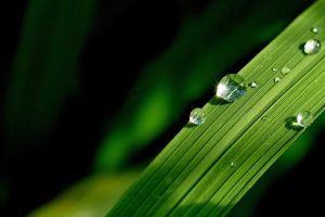 Read more about the article 培訓課程＿站在世紀災難中與環保志業