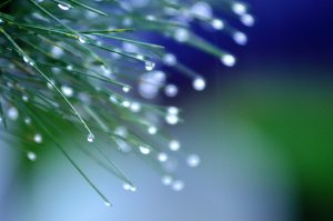 Read more about the article 精進日課程＿防疫保健你我他