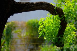 Read more about the article 培訓課程＿慈悲有智慧，科技有人文