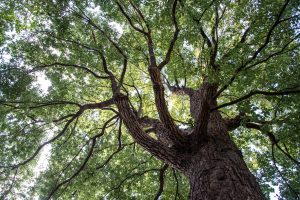 Read more about the article 營隊課程_行經如常