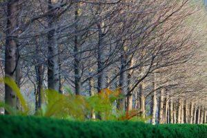 Read more about the article 導讀資源＿靜思妙蓮華＿序品＿第四十三週＿萬法心王人人本具