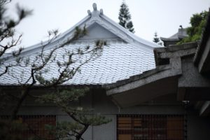 Read more about the article 精進日課程＿2020年慈濟慈善志業年度方針