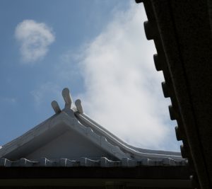 Read more about the article 培訓課程＿慈濟十戒【以愛為管理 以戒為制度】