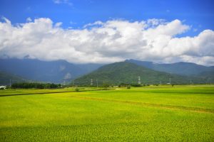 Read more about the article 營隊課程＿慈善大良福田