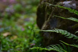 Read more about the article 營隊課程＿用畫筆開啟蔬醒之旅