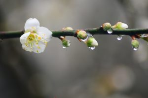 Read more about the article 精進日課程＿薰法香 有法度【生活中看見佛法】