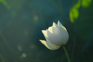 Read more about the article 營隊課程＿莫忘那一念