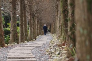 Read more about the article 營隊課程＿精舍日常 慈濟後盾